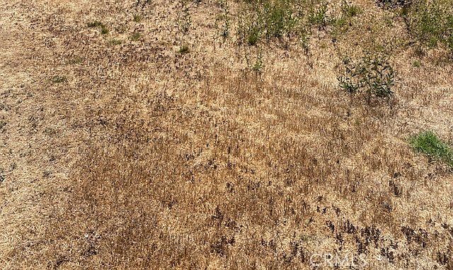 0 Sewanee Dr Borrego Springs, CA 92004  | Land/Lot