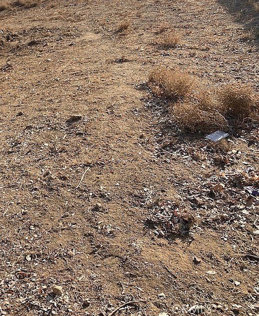 0 Vac Vic LOT 29 Lancaster, CA 93535 | Land/Lot