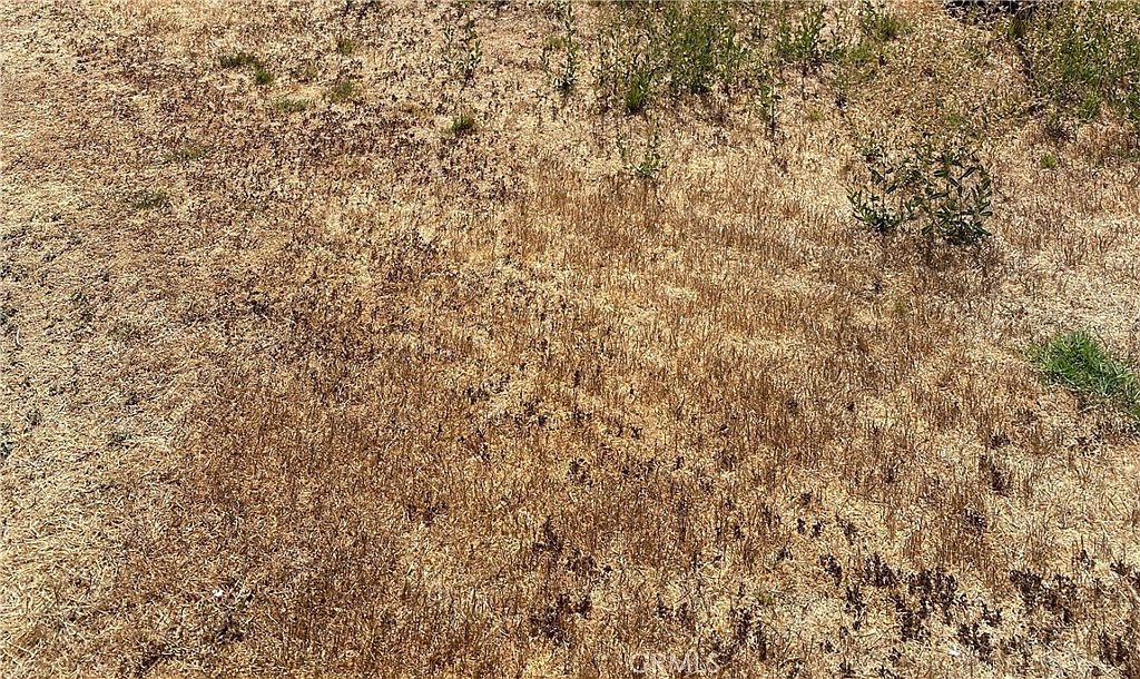 0 Vac Vic Ave LOT 33 Llano, CA 93544  | Land/Lot