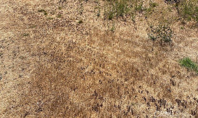 1 W Avenue Q Lot 28 Palmdale, CA 93550  | Land/Lot