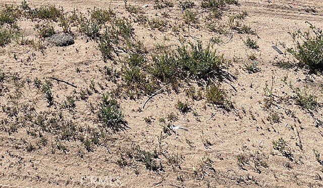 0 Apn 34 0 6 #81-293 Ridgecrest, CA 93555  | Land/Lot