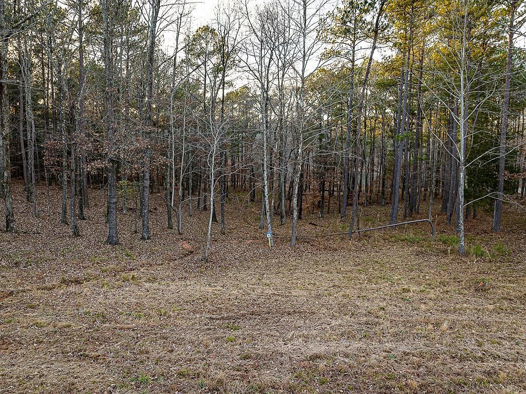 9 Stately Oaks Dr Huntingdon, TN 38344 - Thumbnail 2