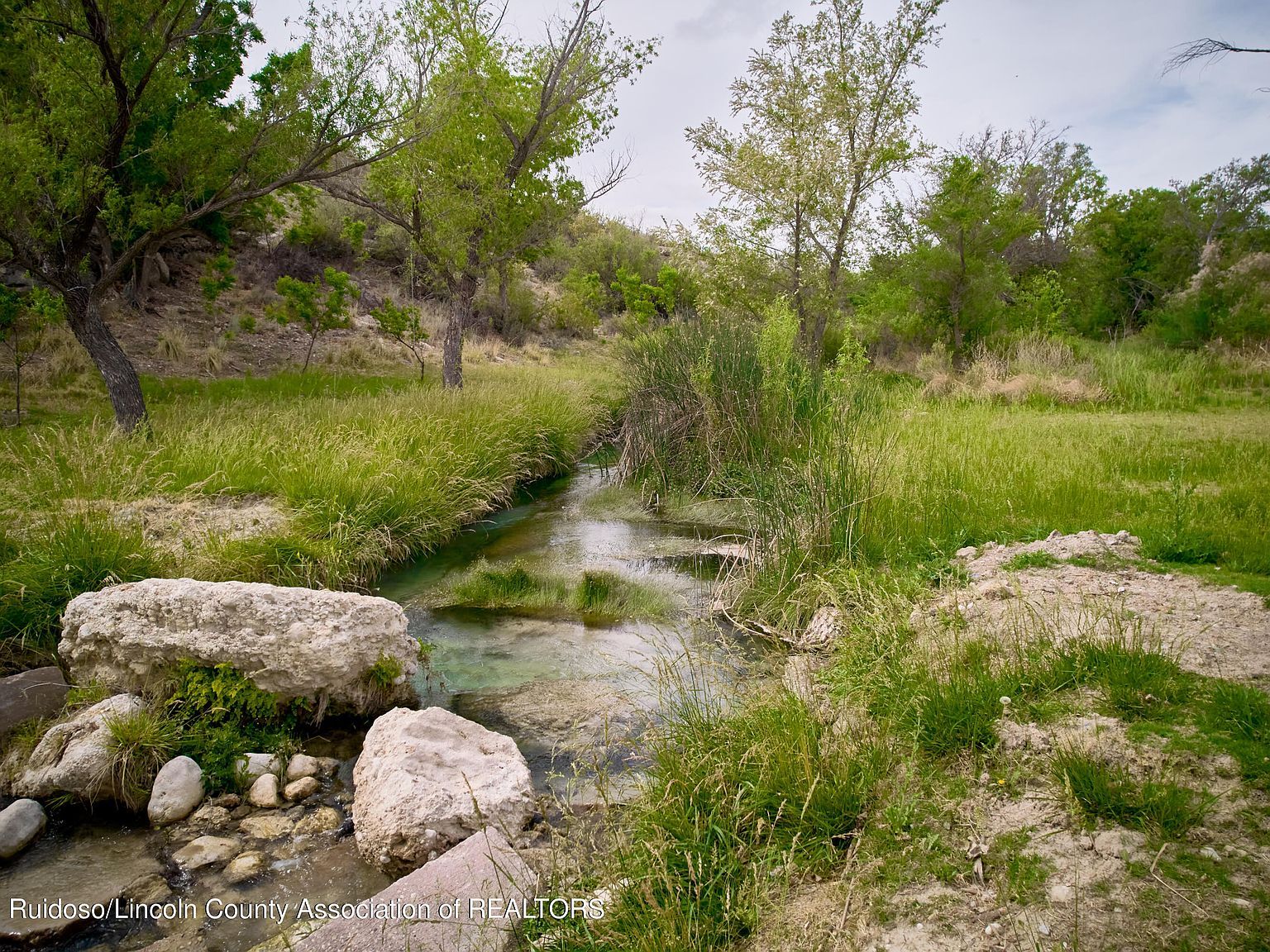 1232 Black River Village Rd Carlsbad, NM 88220 - Thumbnail 2