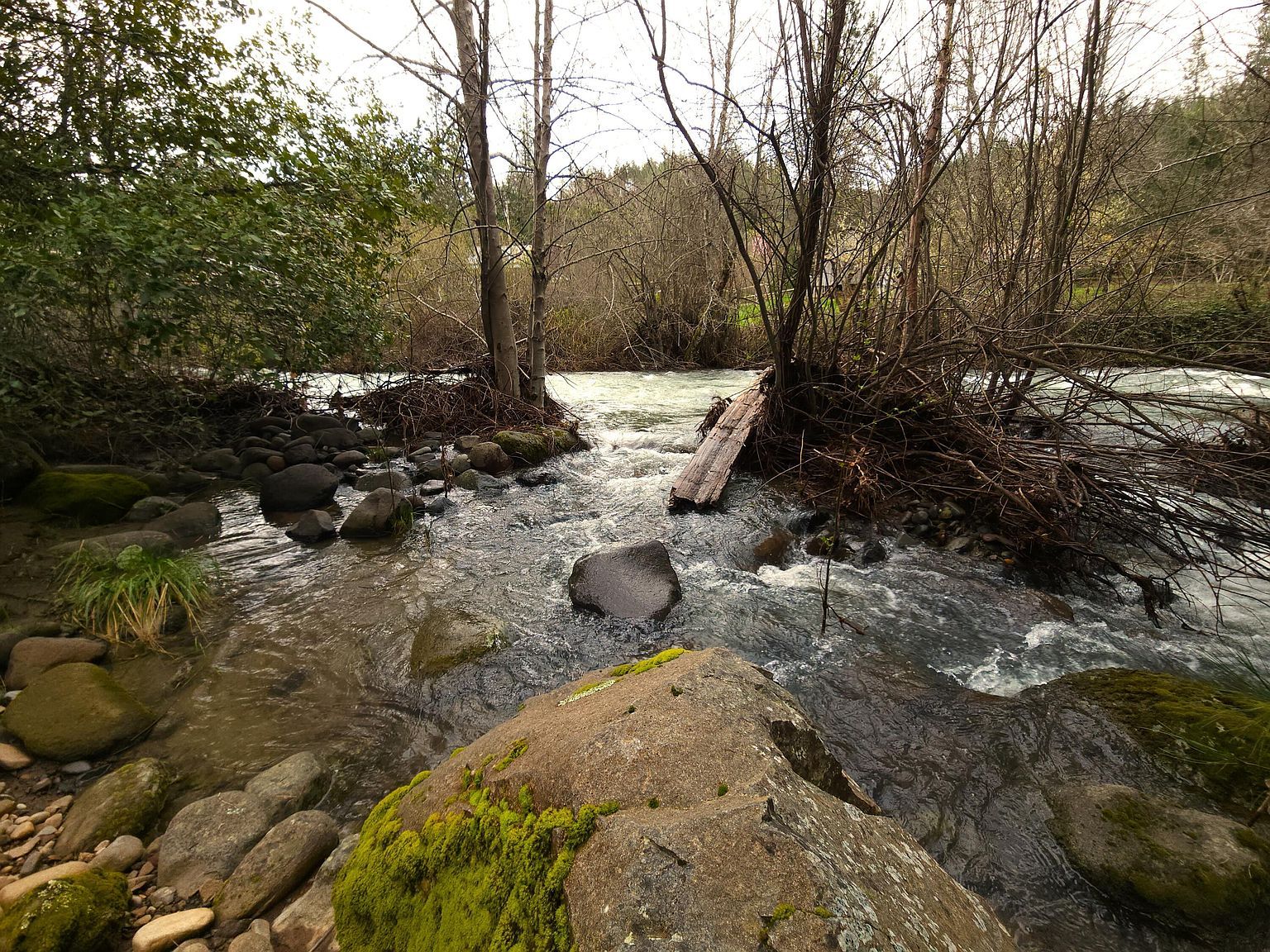 0 Phillips Rd Oak Run, CA 96069 - Thumbnail 2