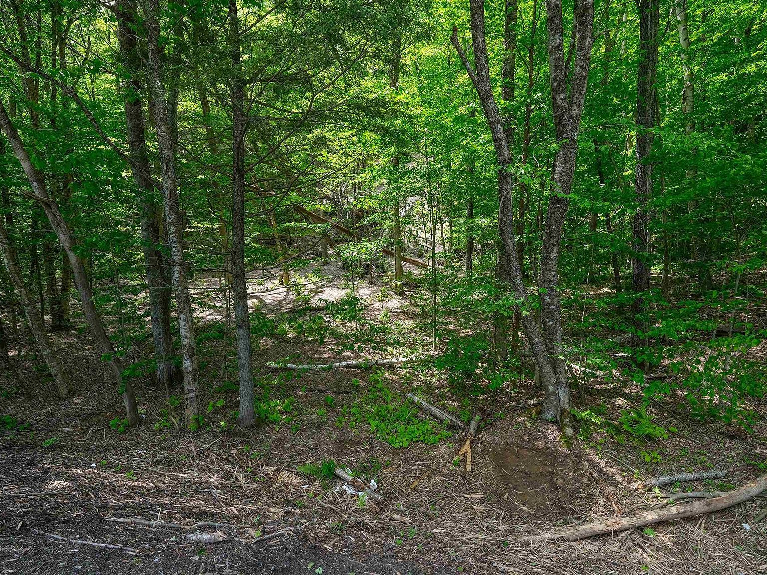 0 Route 100 N Plymouth, VT 05056 - Thumbnail 2