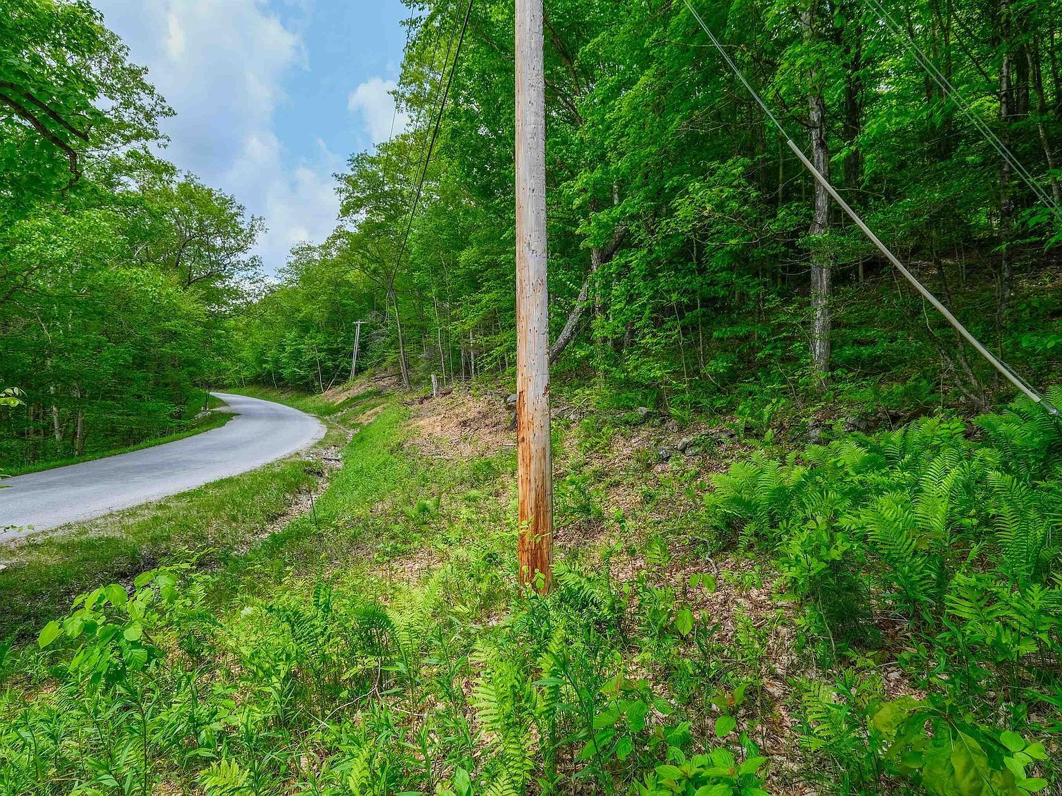 0 E Ash Rd Plymouth, VT 05056 - Thumbnail 2