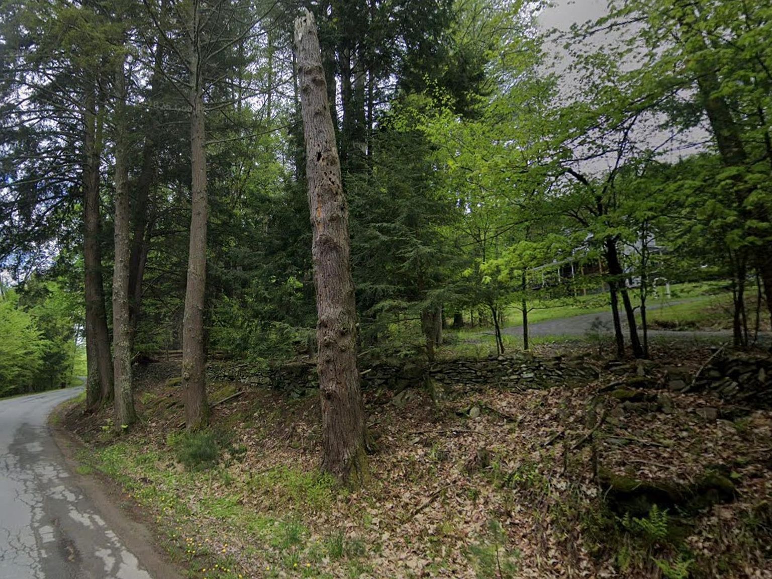 Oriole Trl Bethel, NY 12720 - Thumbnail 2