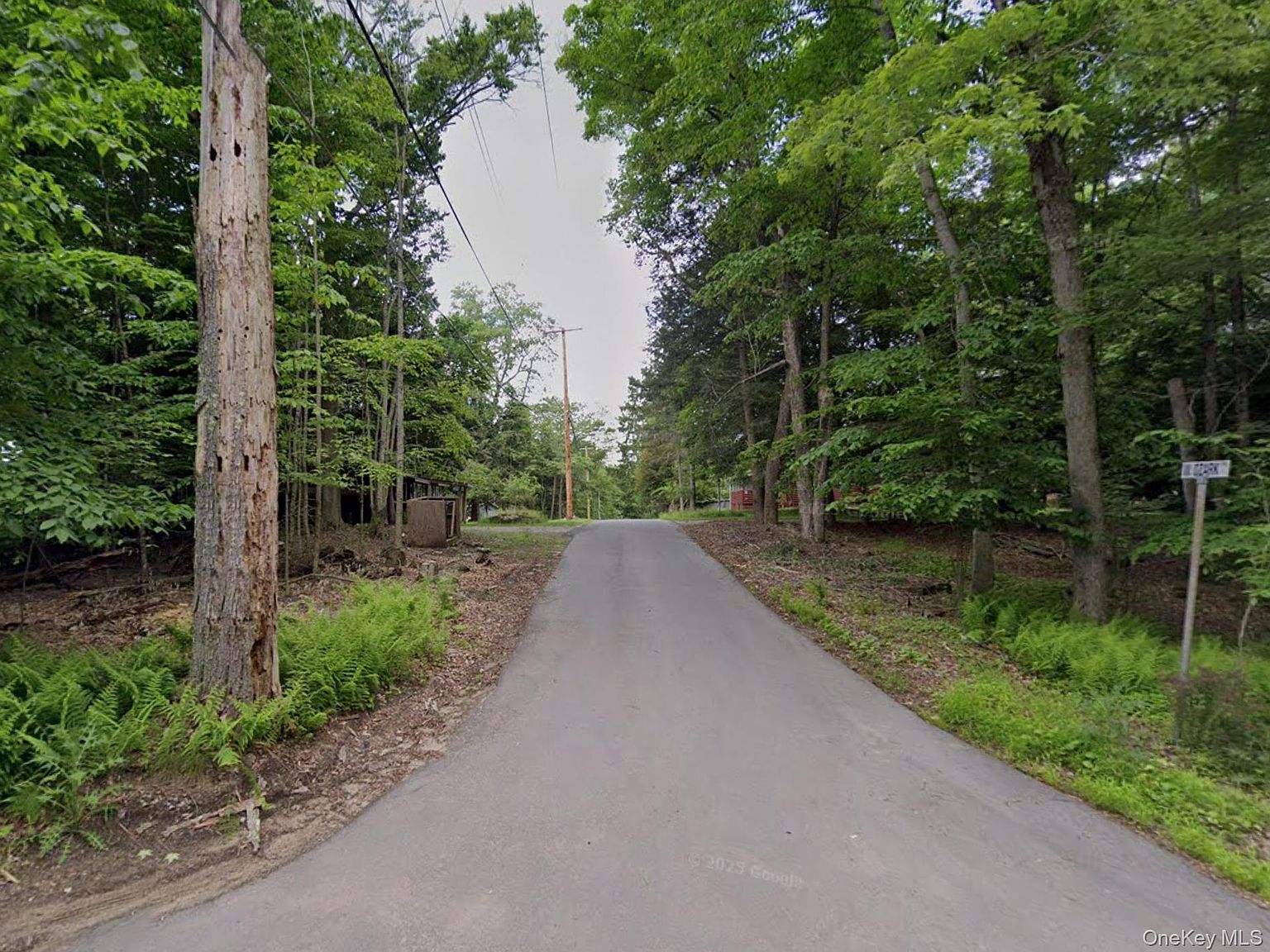 Ozark Trl Bethel, NY 12720 - Thumbnail 2