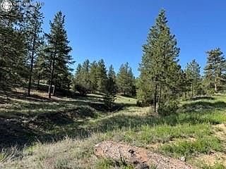 69 Coyote Run Cotopaxi, CO 81223 - Thumbnail 2
