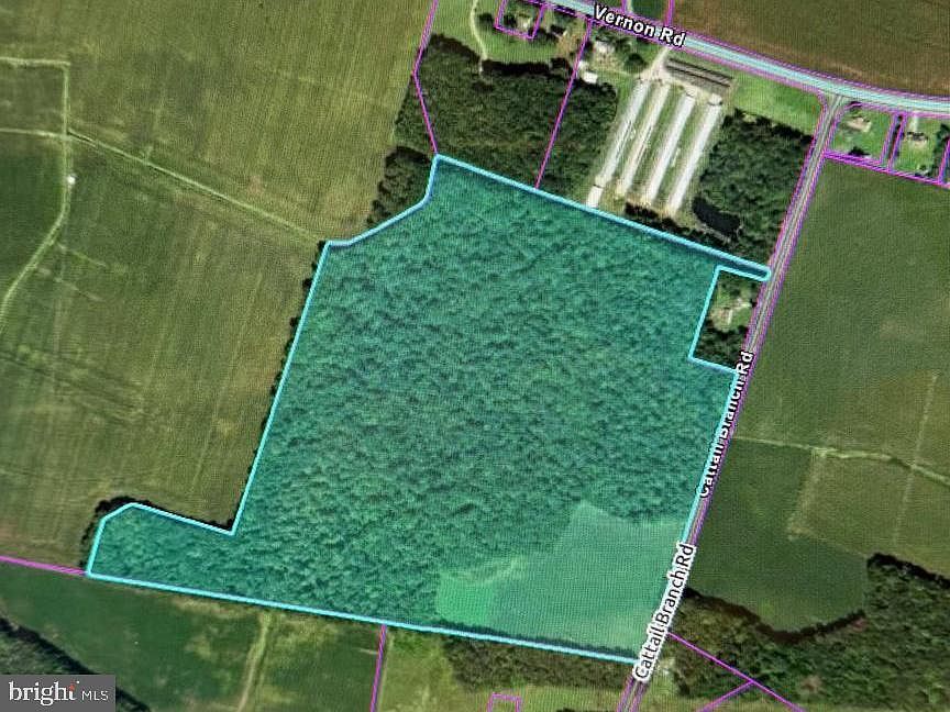 0 Cattail Branch Rd Harrington, DE 19952 | Land/Lot