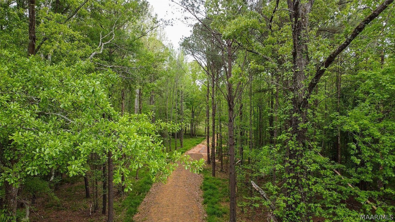 0 Pugh Rd Mathews, AL 36052 - Thumbnail 2