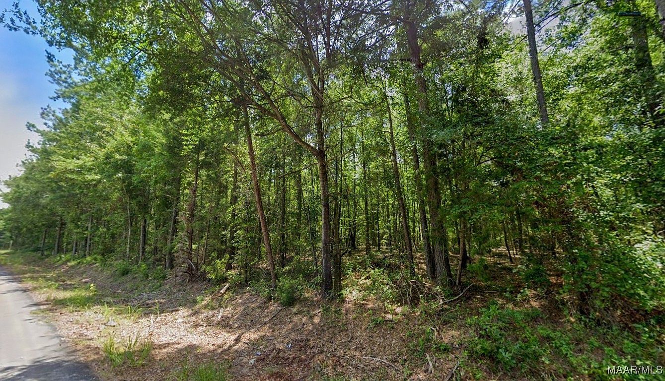 21 Lee Rd #140 Salem, AL 36874 - Thumbnail 2