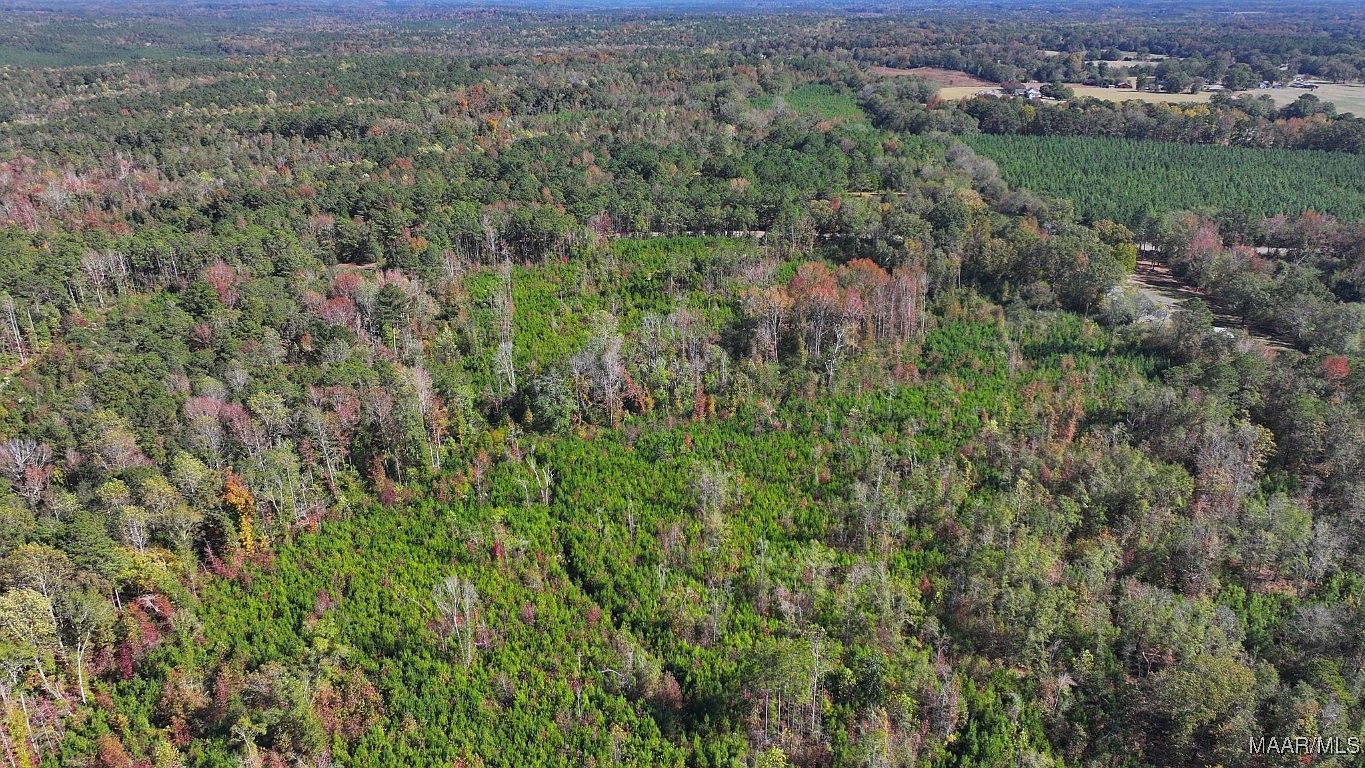 465 N Ann St Eclectic, AL 36024 - Thumbnail 2