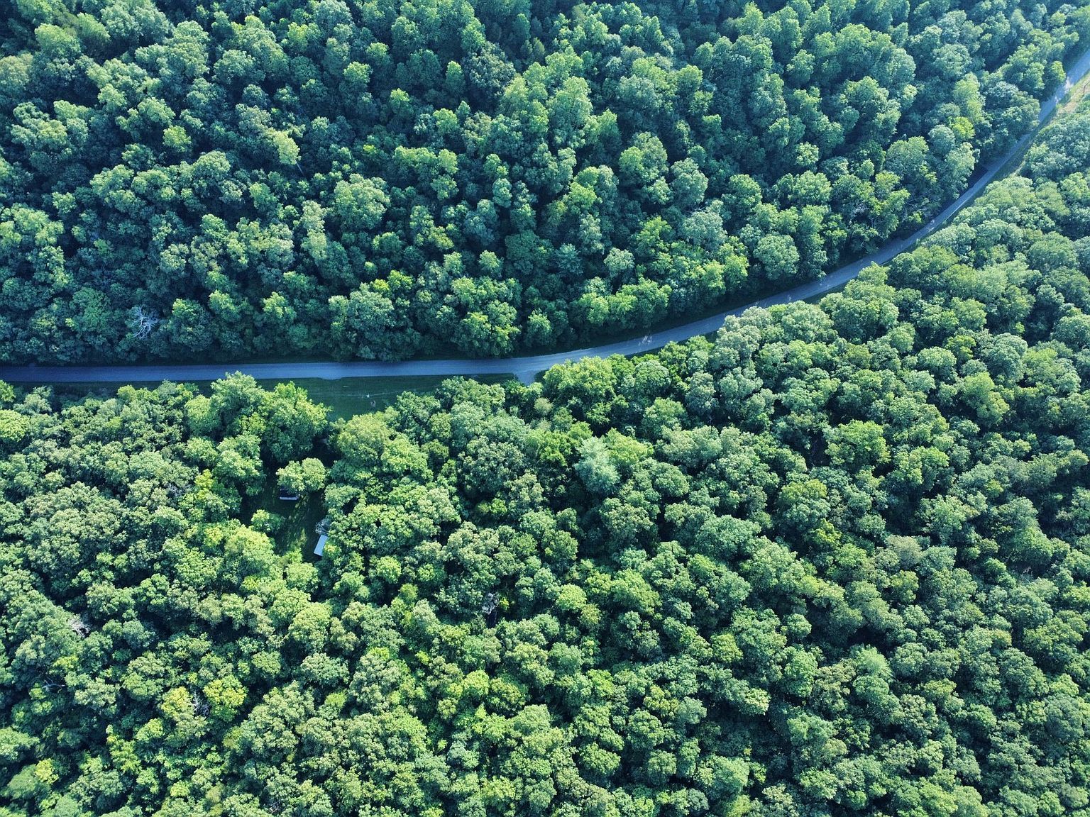 0 Baggett Hollow Rd Cunningham, TN 37052 - Thumbnail 2