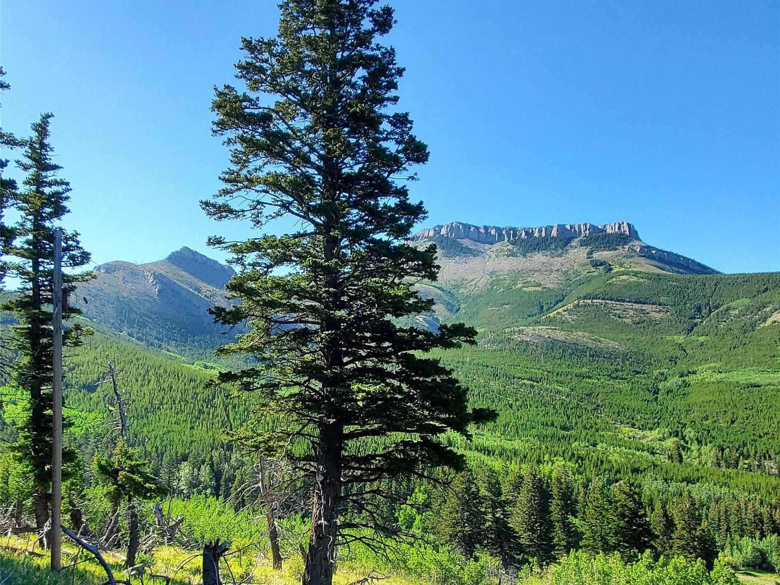 3384 Joslin Creek Rd #59410 Augusta, MT 59410 - Thumbnail 2