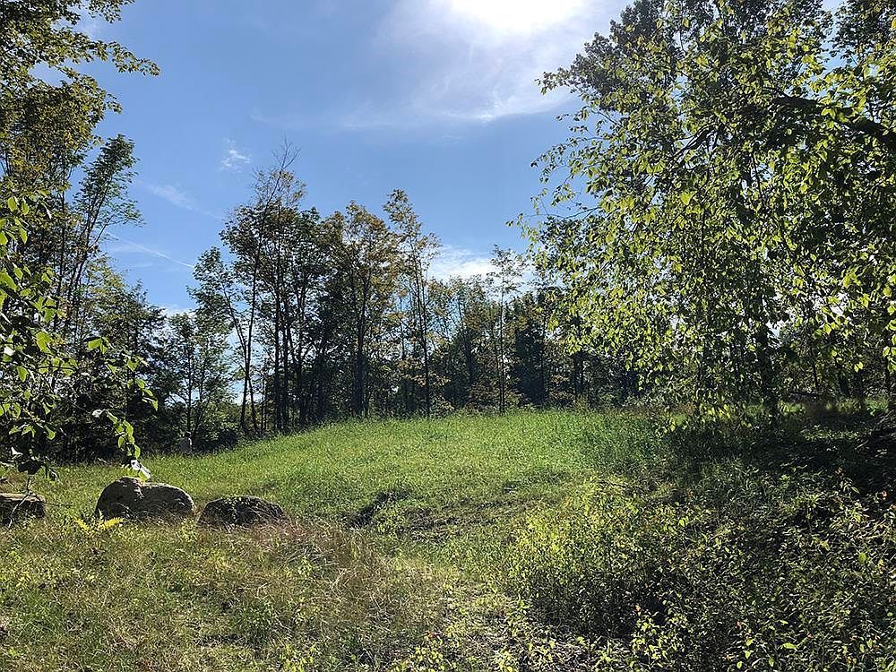 111 Gib Lockerby Rd Grafton, VT 05146 - Thumbnail 2