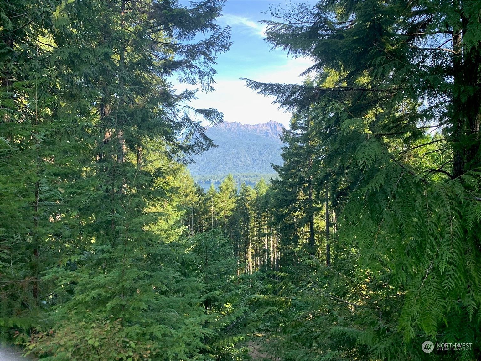 5154 N Lake Cushman Rd Hoodsport, WA 98548 - Thumbnail 2