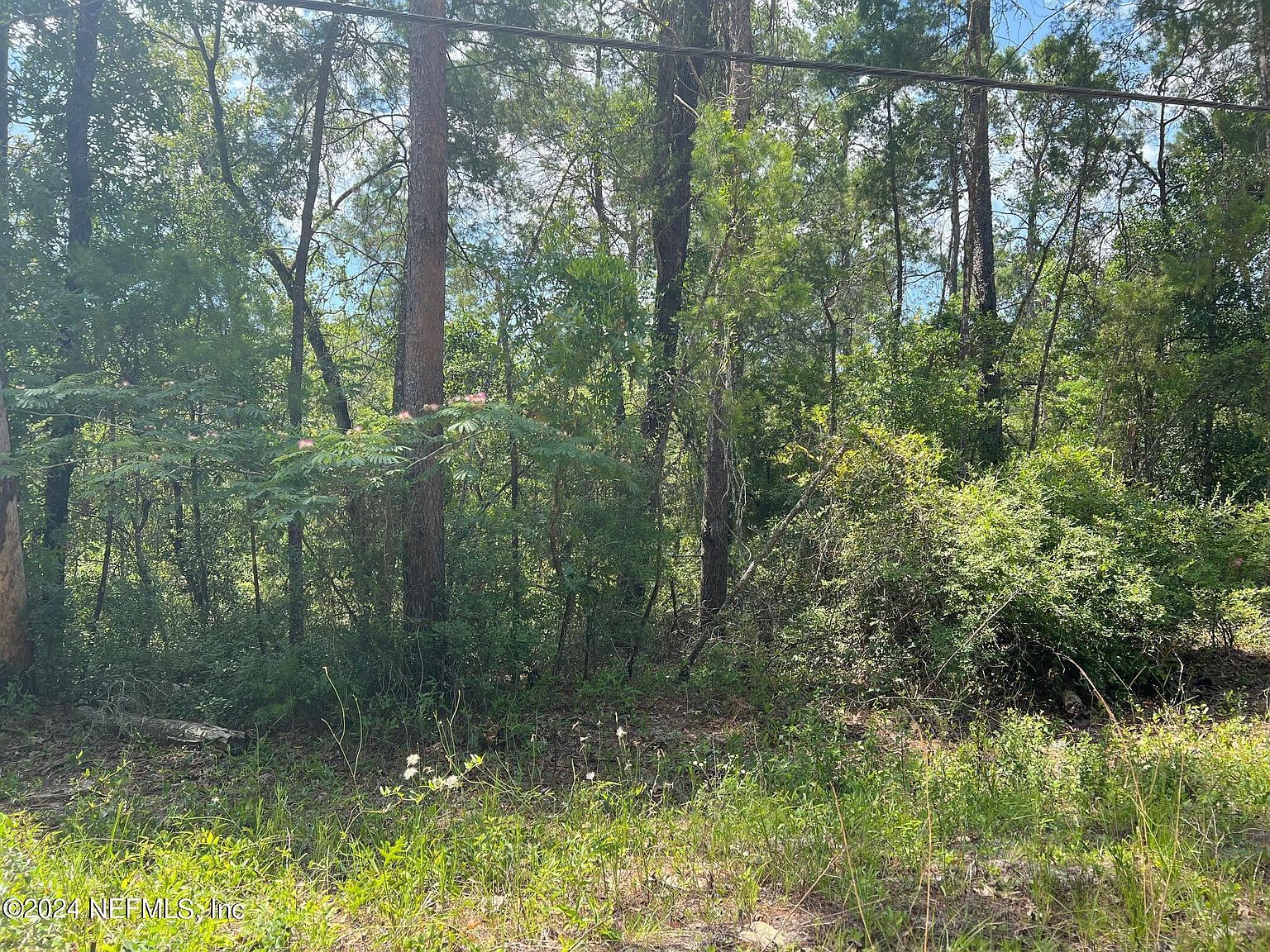 220 Oleander St Pomona Park, FL 32181  | Land/Lot