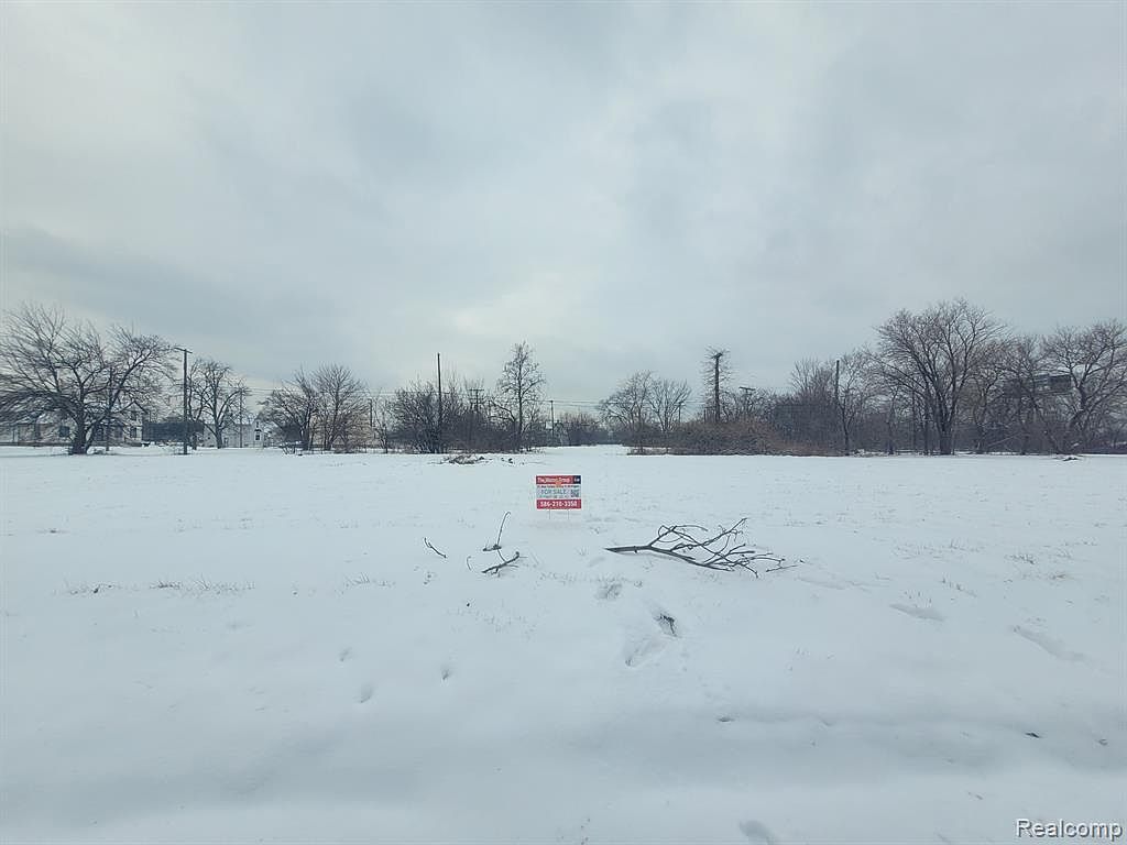 4253 Lawton St Detroit, MI 48208 - Thumbnail 2