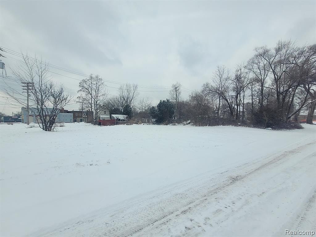 3643 30th St Detroit, MI 48210 - Thumbnail 2