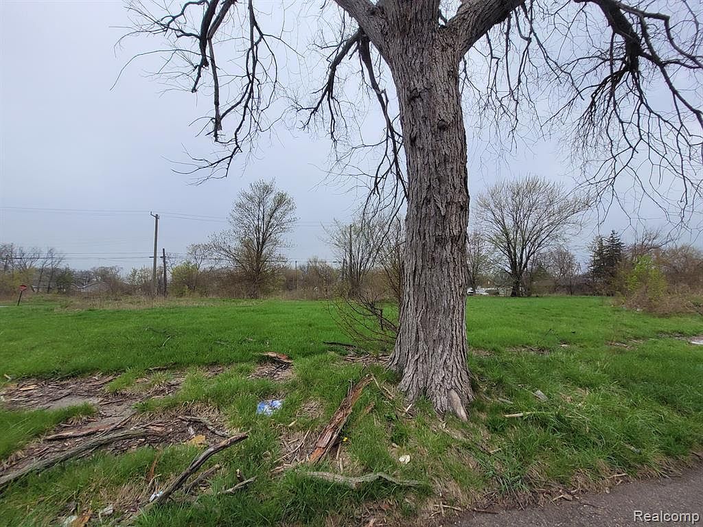 3919 Beaconsfield St Detroit, MI 48224 - Thumbnail 2