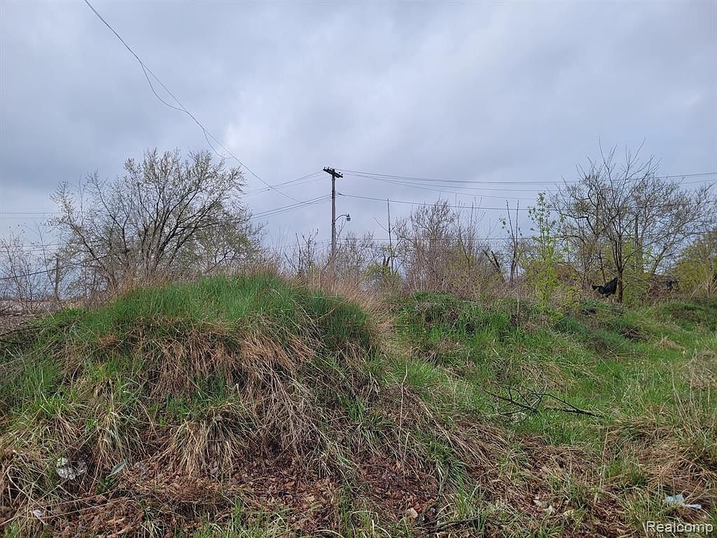 3332 Rochester St Detroit, MI 48206 - Thumbnail 2