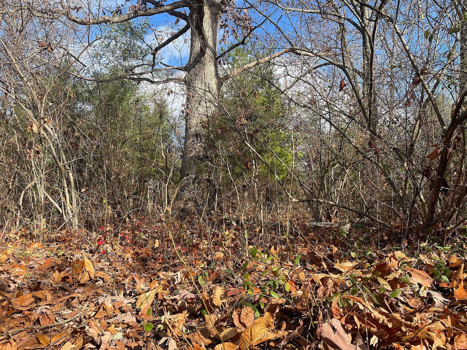 0 State Road 135 N Nashville, IN 47448 - Thumbnail 2