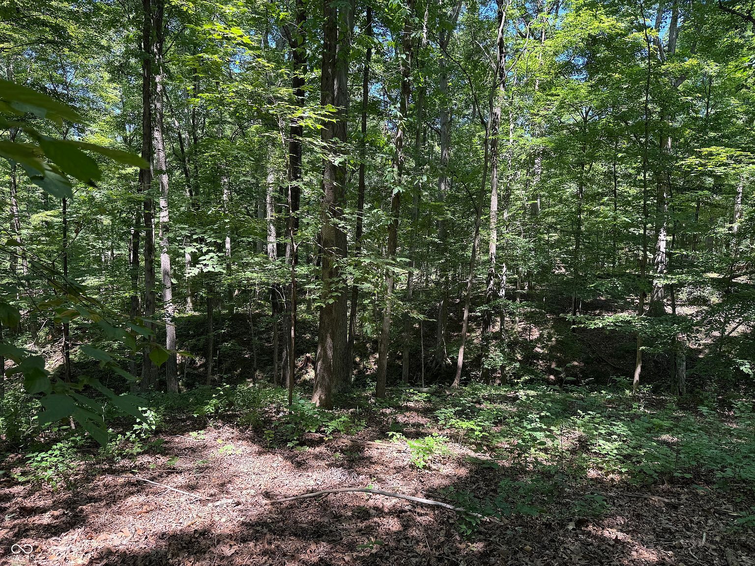 X Fox Ct Nineveh, IN 46164 - Thumbnail 2