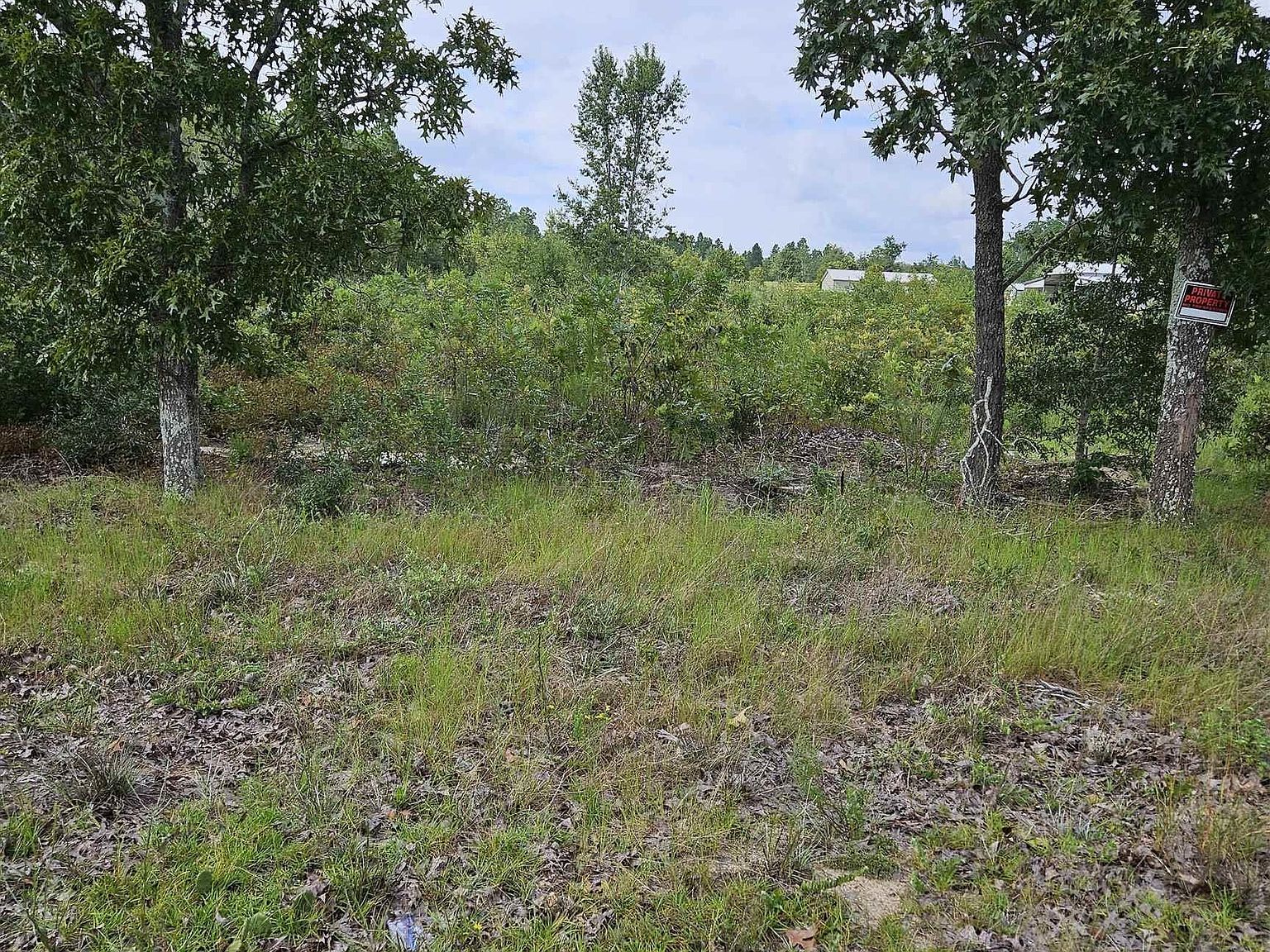 736 Bush Berry Rd Pelion, SC 29123 - Thumbnail 2