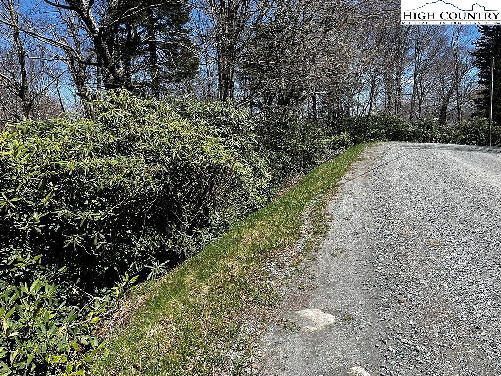 117 Wild Daisy Ln Banner Elk, NC 28604 - Thumbnail 2