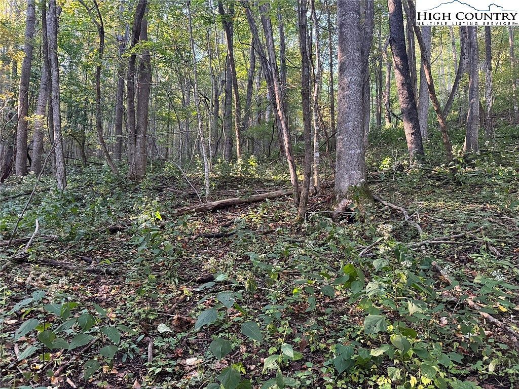 Mulberry Cove Rd Boone, NC 28607 - Thumbnail 2