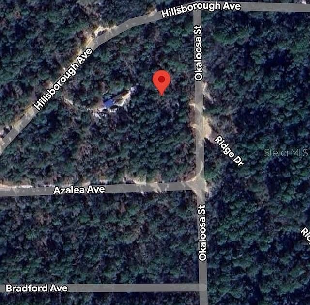 903 Okaloosa St LOT 3 Florahome, FL 32140 - Thumbnail 2