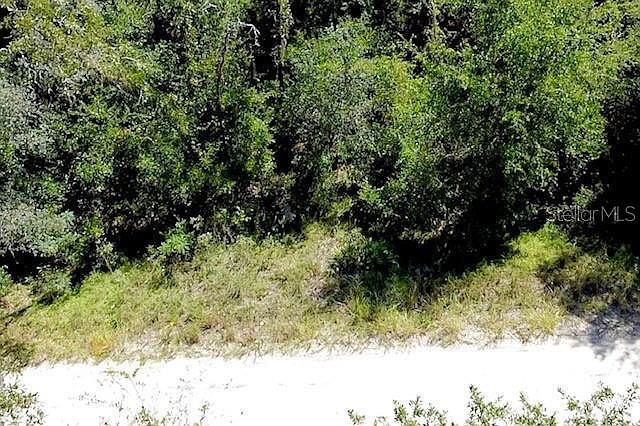 0 NE 138th Ter LOT 8 Williston, FL 32696 - Thumbnail 2