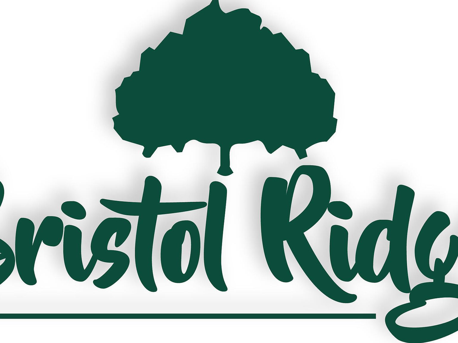 254 Easley Cabin Cir Columbia, MO 65201 - Thumbnail 2