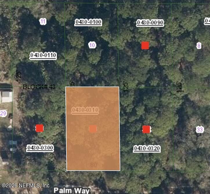 320 Palm Way Georgetown, FL 32139 - Thumbnail 2