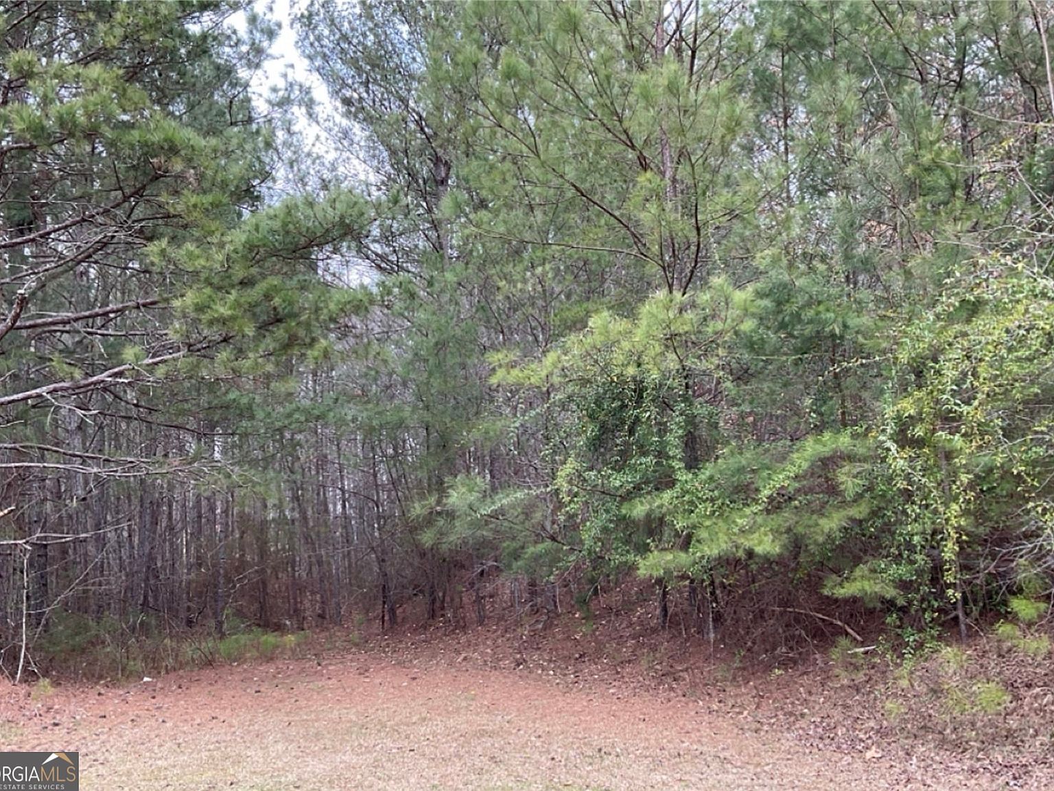 0 N Ridge Dr, Tallapoosa, GA, 30176  | Land/Lot