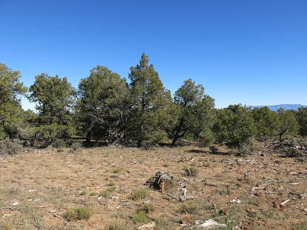 41 Servilleta LOT 41 Tres Piedras, NM 87577  | Land/Lot