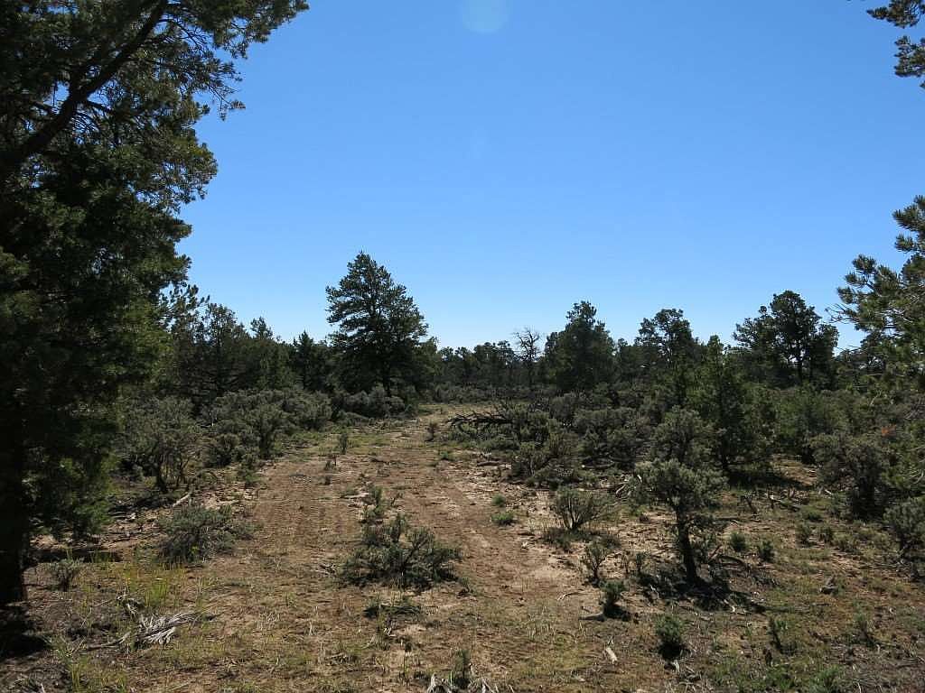 38 Servilleta LOT 38 Tres Piedras, NM 87577  | Land/Lot