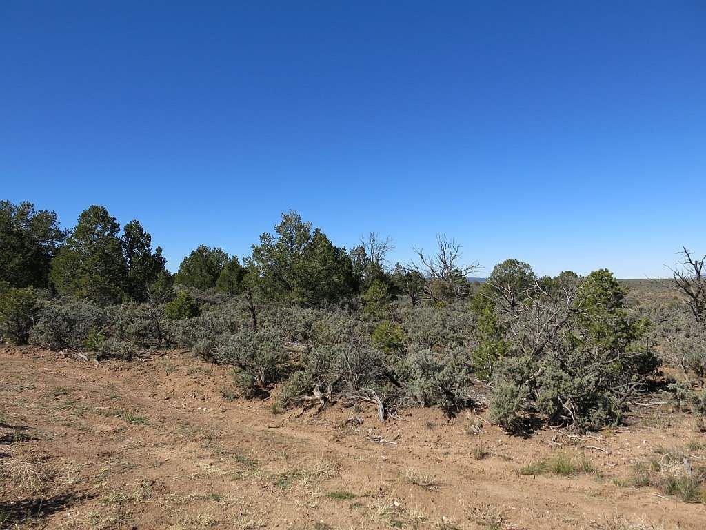 44 Servilleta LOT 44 Tres Piedras, NM 87577  | Land/Lot