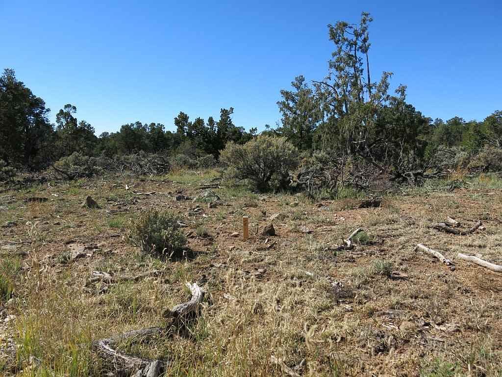 43 Servilleta LOT 43 Tres Piedras, NM 87577  | Land/Lot