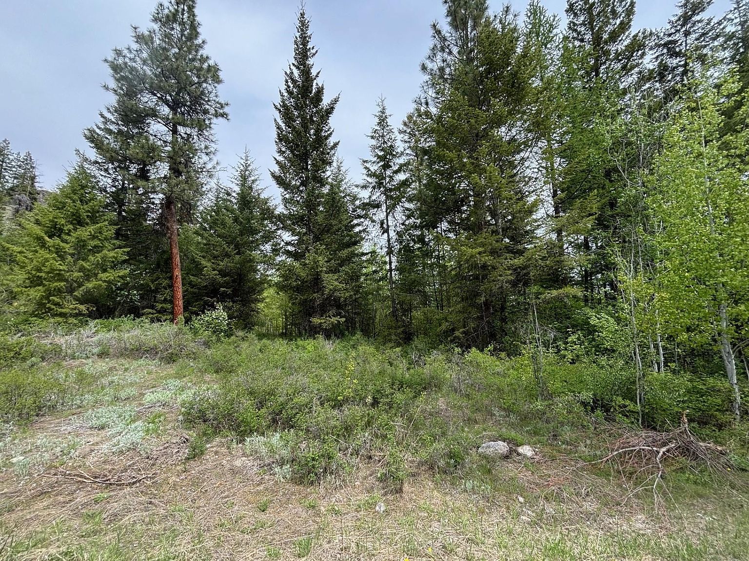 1XX Rocky Canyon Rd #3629220014 Tonasket, WA 98855 - Thumbnail 2