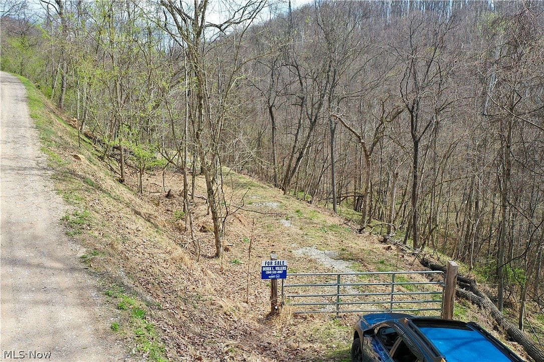 1536 Jakes Fork Rd Arnoldsburg, WV 25234  | Land/Lot