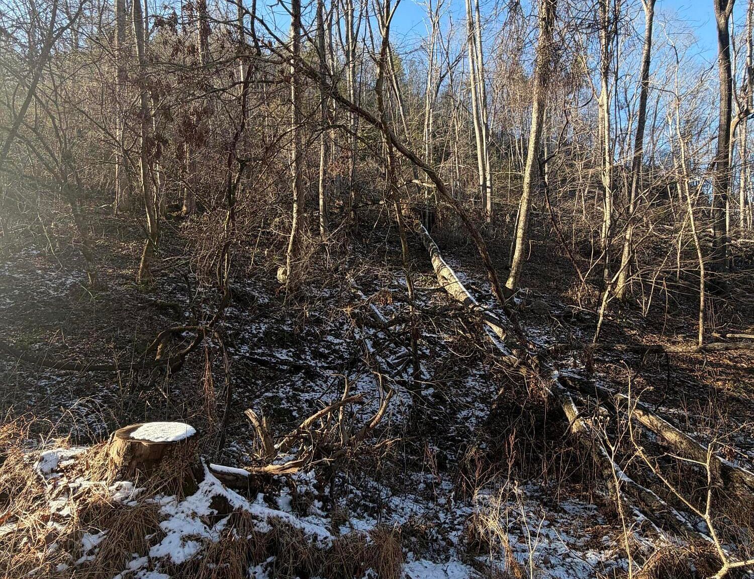 Williams Ln Butler, TN 37640 - Thumbnail 2