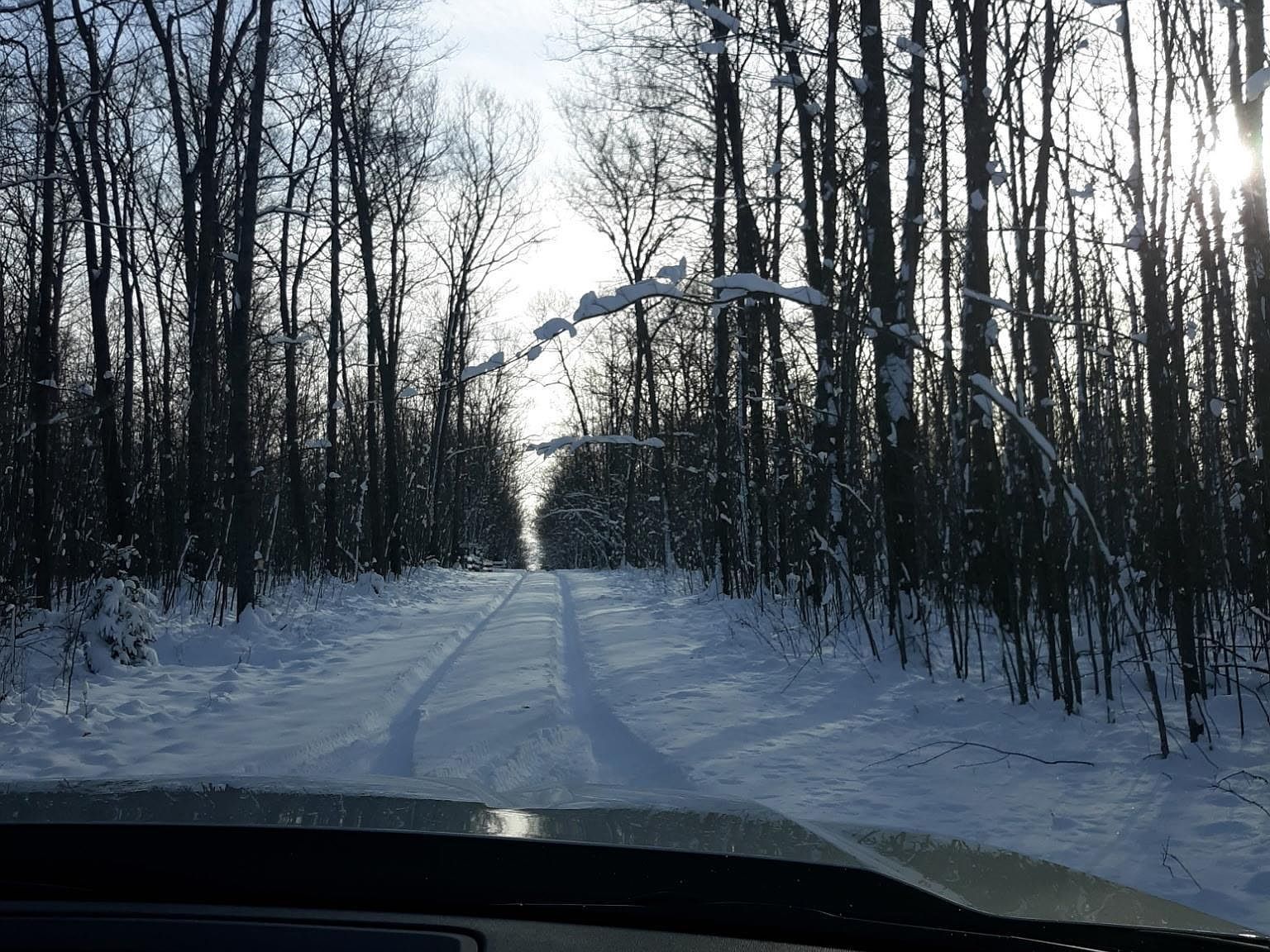 Camp Domino Trl Hillman, MI 49746 - Thumbnail 2