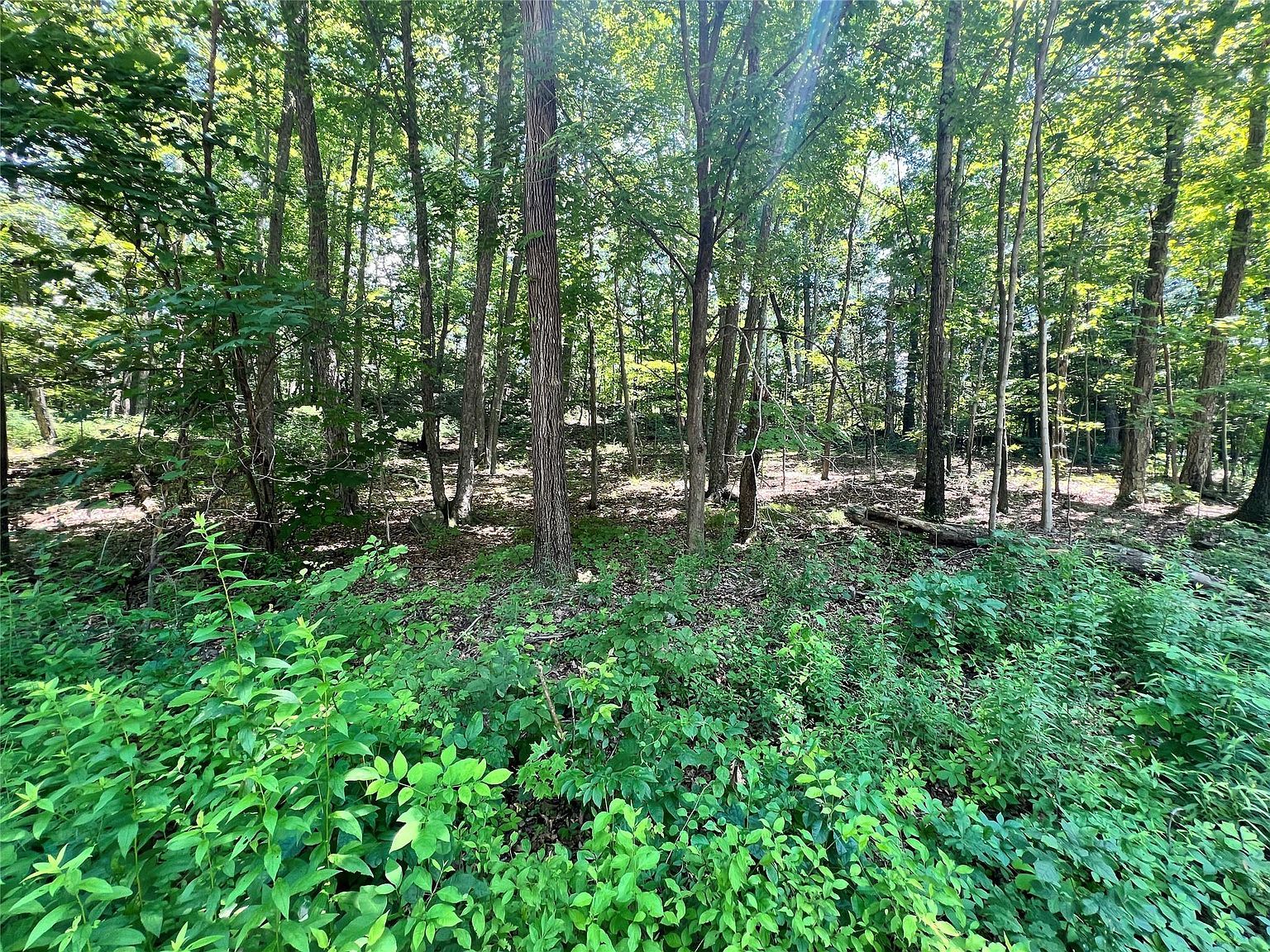 17 Vanessa Ln Staatsburg, NY 12580 - Thumbnail 2