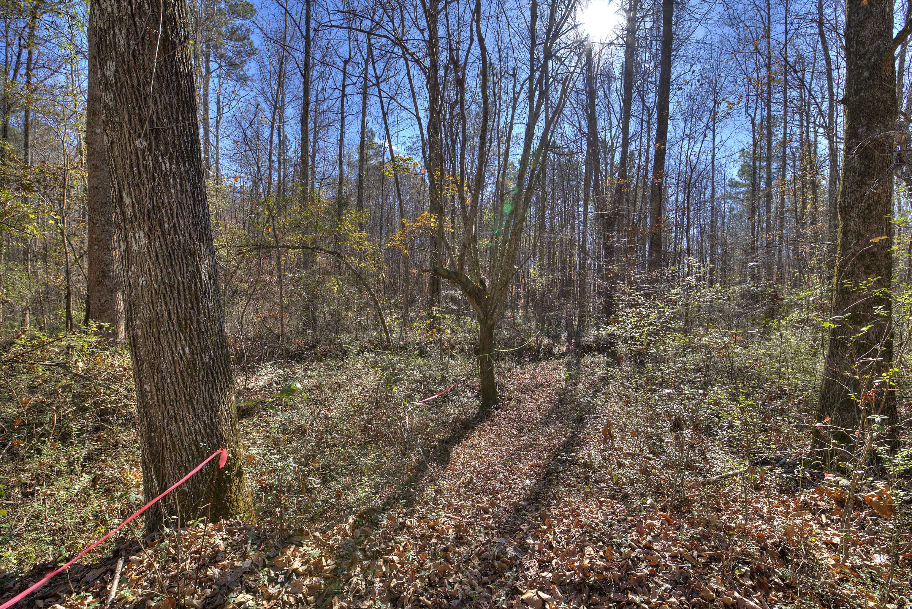 0 Randall Creek Road, Canton, GA, 30115 - Thumbnail 2