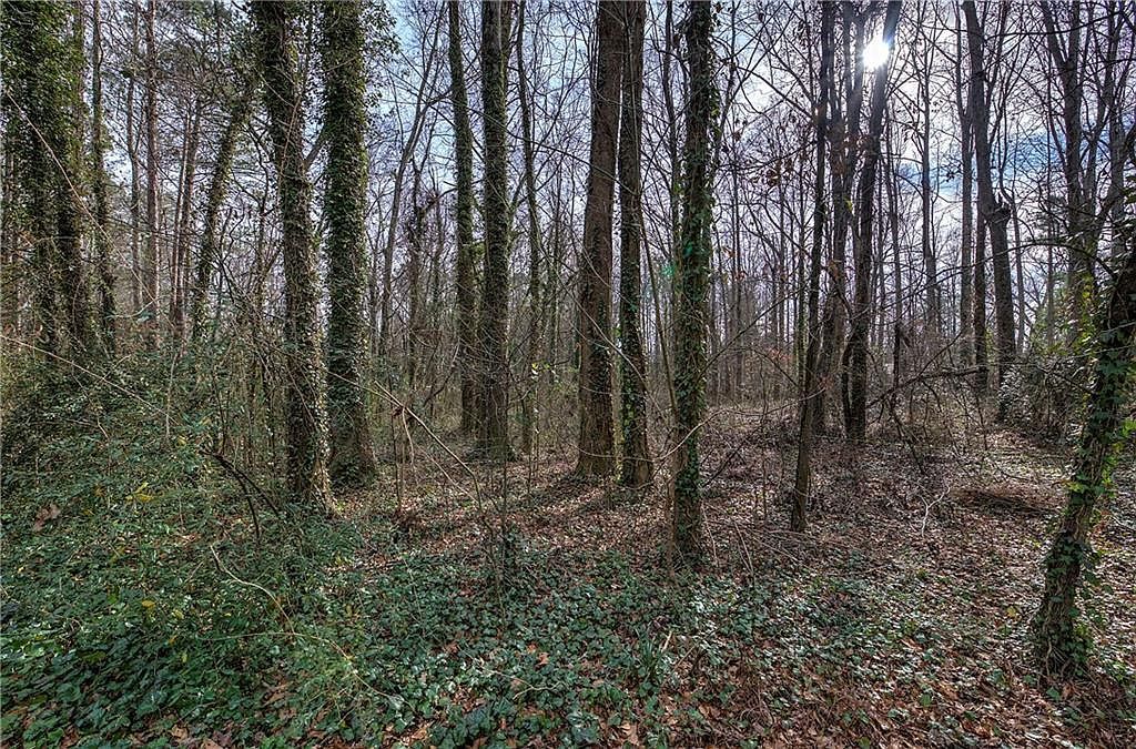 0 Villa Rica Hwy #3 Dallas, GA 30157 - Thumbnail 2