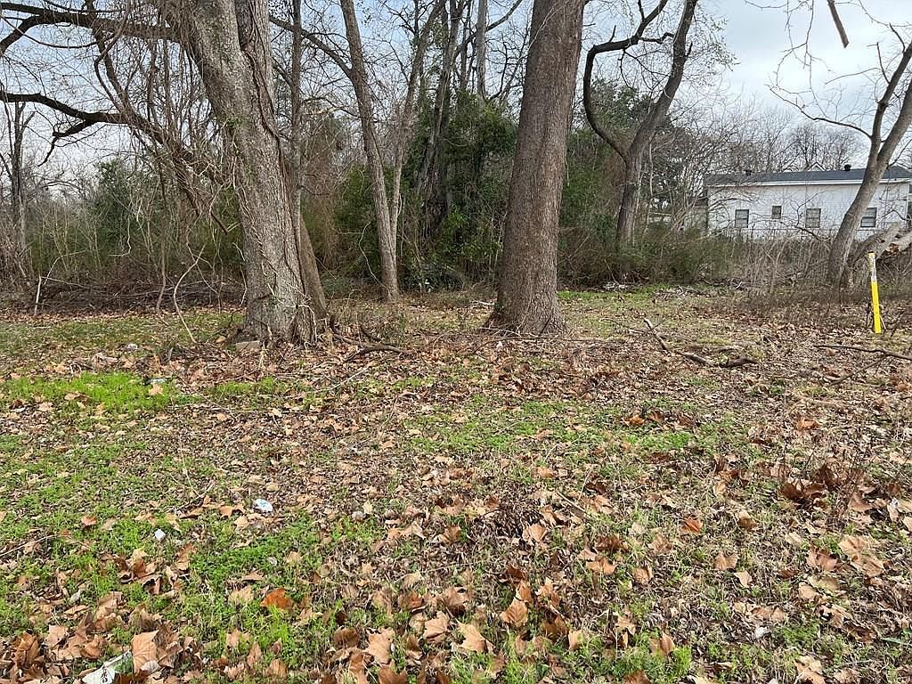 207 S Jackson St Palestine, TX 75801 - Thumbnail 2