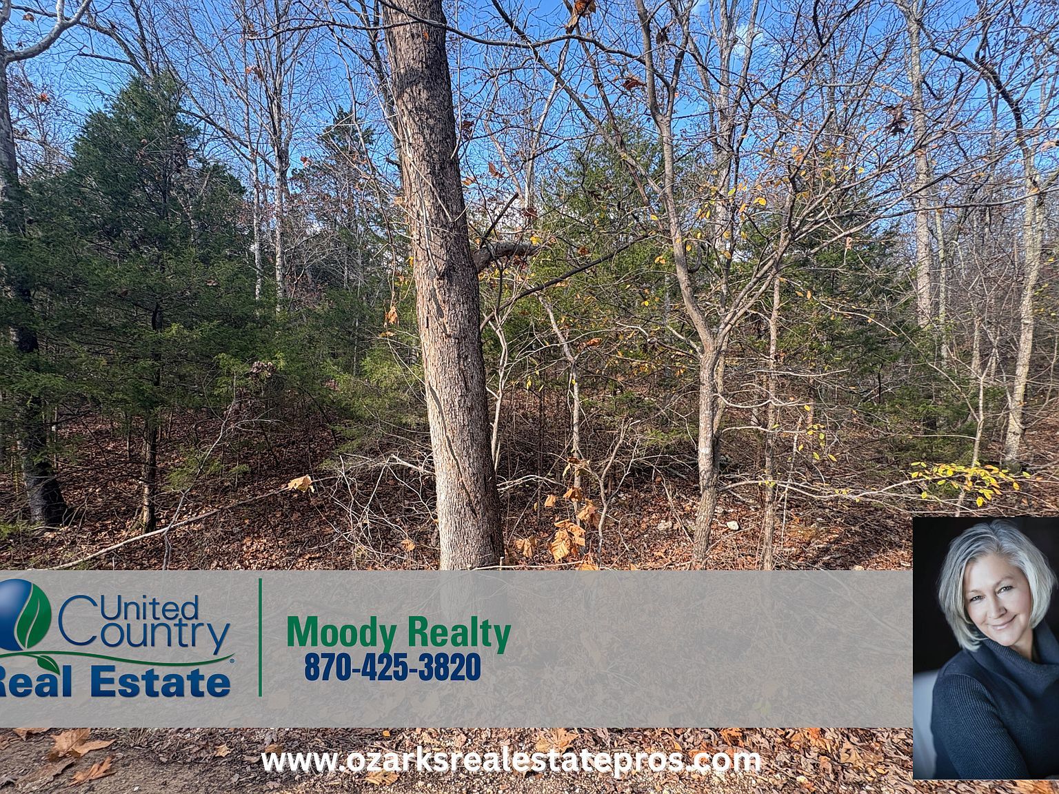 Crystal Oaks Trl TRACT D Gamaliel, AR 72537 - Thumbnail 2