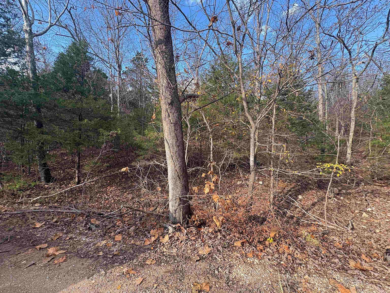 TRACT Crystal Oaks Trl #D Gamaliel, AR 72537 - Thumbnail 2